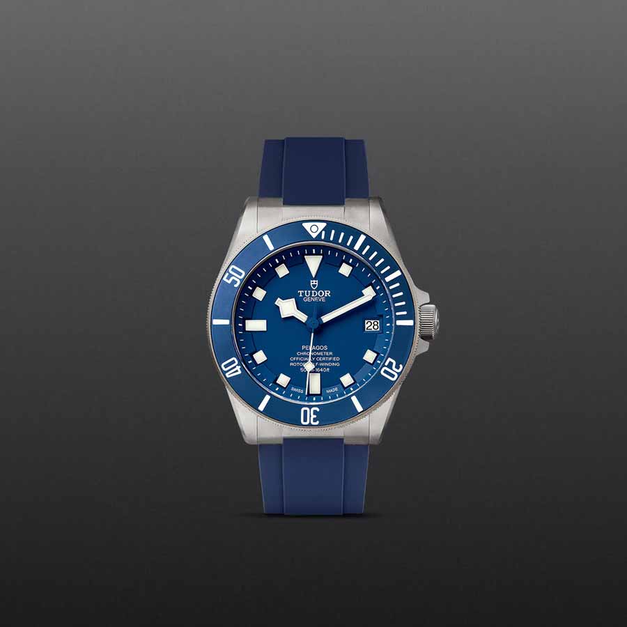 TUDOR M25600TB-0001 bracelet additional