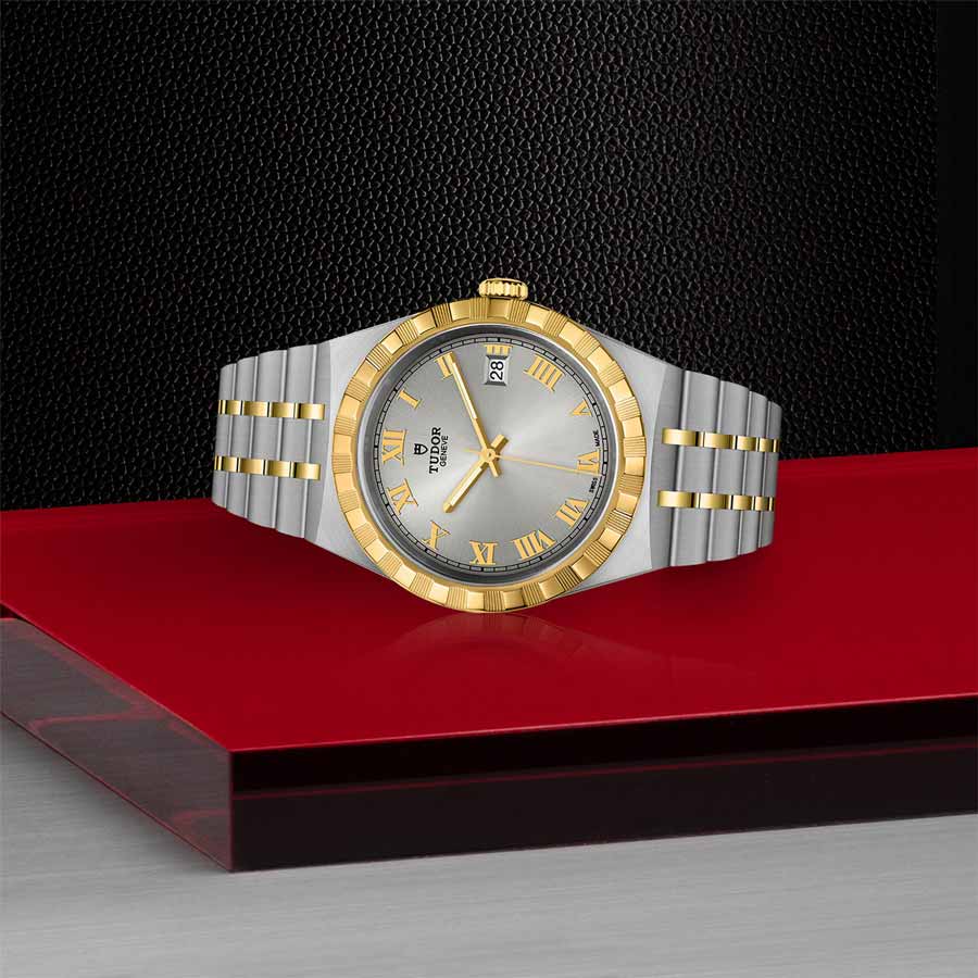 TUDOR M28503-0001 layingdown
