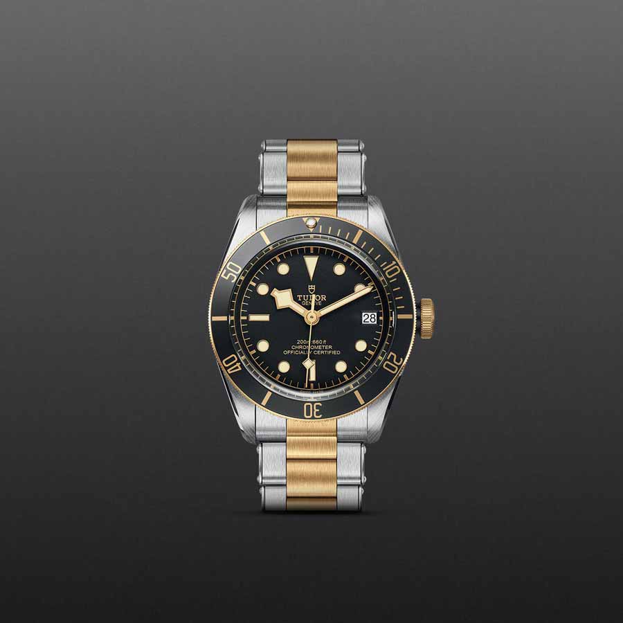 TUDOR M79733N-0008 grey background